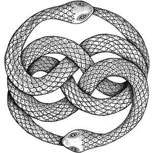 Meet your Posher, Ronald